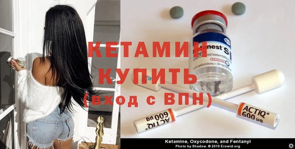 индика Беломорск