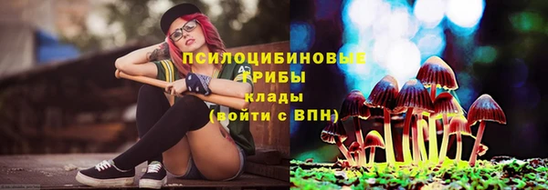 дурь Белоозёрский