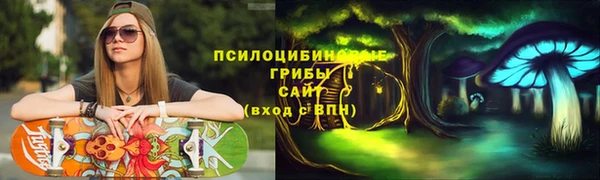 марки nbome Белокуриха
