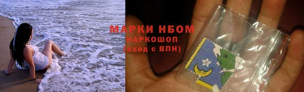 индика Беломорск