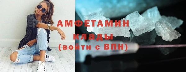 индика Беломорск