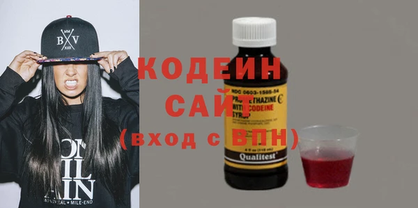 индика Беломорск