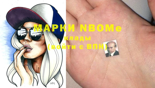 индика Беломорск