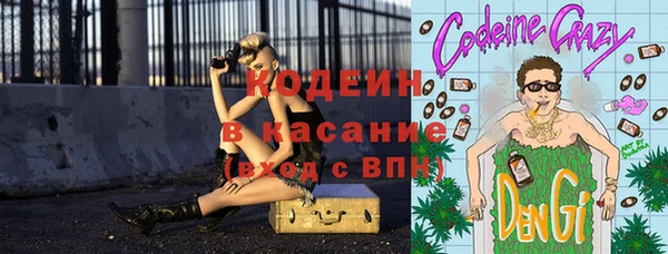 индика Беломорск