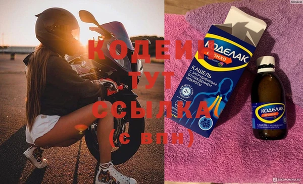 индика Беломорск