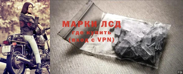 индика Беломорск
